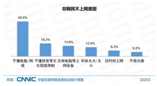 中國互聯網絡發展狀況統計報告（2020年第46次） 網民規模、結構狀況與計算機軟件數據處理服務分析